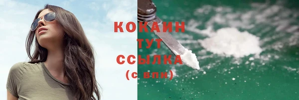 гидропоника Кодинск