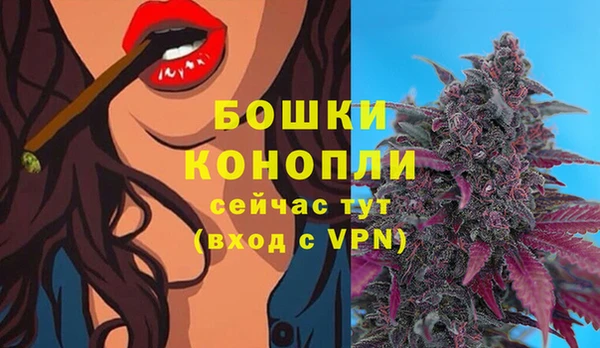 гидропоника Кодинск