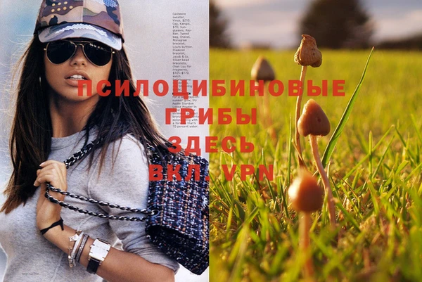 гидропоника Кодинск