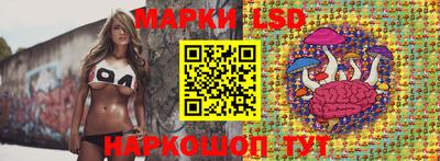 стафф Кандалакша