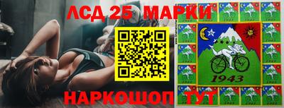 стафф Кандалакша