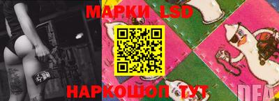 spice Камышлов