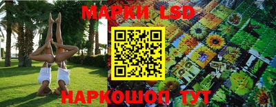 spice Камышлов