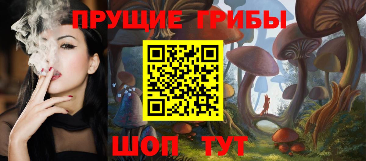 Курчатов  Псилоцибиновые грибы Magic Shrooms  Вход с VPN  Галлюциногенные грибы ЛСД 